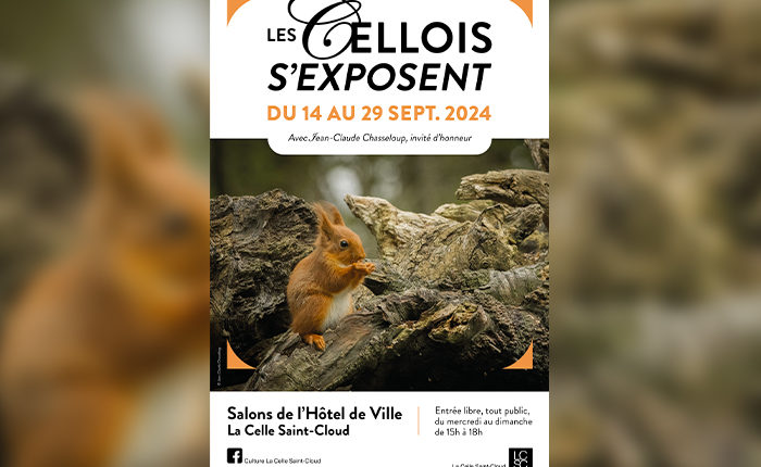Affiche pour l’exposition “Les Cellois s'exposent” du 14 au 29 septembre 2024, avec une photo d’un écureuil. L’événement se tient aux Salons de l’Hôtel de Ville avec Claude Chassepot comme invité d’honneur. Exposition gratuite, ouverte tous les jours sauf le lundi de 15h à 18h.
