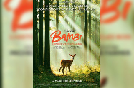 Affiche de l'événement "Bambi".