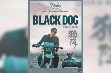 Affiche du film "Black dog".