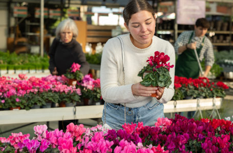 Jeune femme en train de regarder des plantes avec derrière elle un homme et femme faisant la même chose.