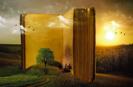 Livre géant dans un champ