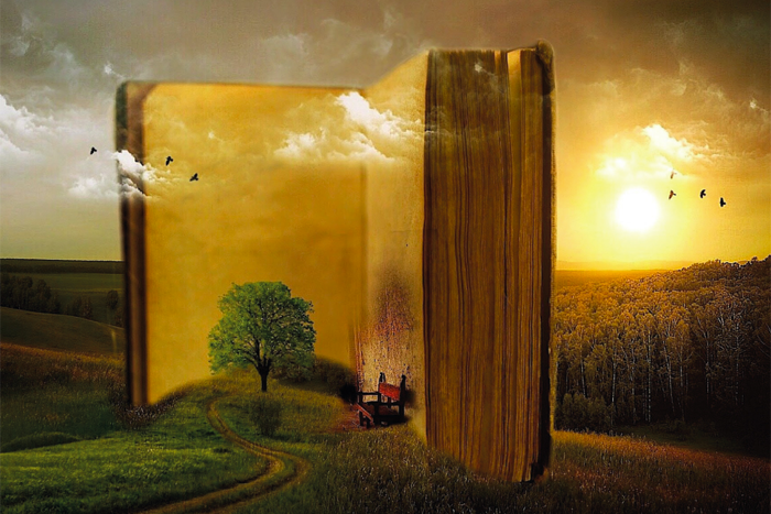 Livre géant dans un champ